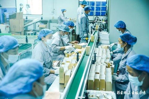 老滇凰云極工廠 以信息技術咨詢服務為引擎，驅動云南蜂業現代化轉型